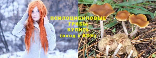 ALPHA PVP Армянск